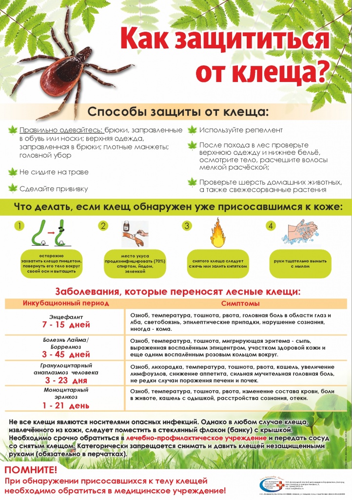 Как-защттиться-от-клеща.jpg